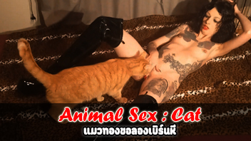 หนังโป๊วิตถาร Lucy Ravenblood สาวใหญ่จอมหมกมุ่นมาเอาควยปลอมกระทุ้งจนแมวสนใจ Animal Porn เลยเข้าไปเลียหีให้ ลิ้นสากๆเบิร์นหีทีแทบร้องจ๊าก เพราะมีหนามที่ปลายลิ้น